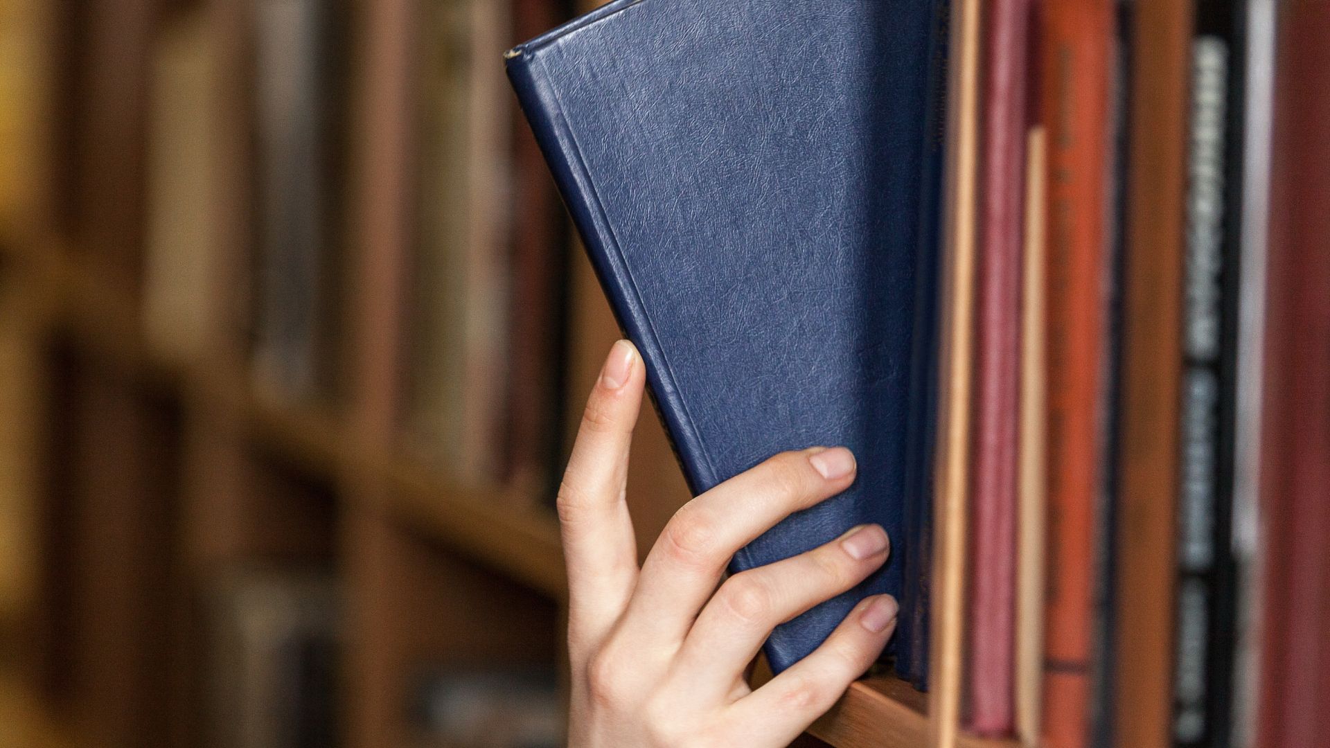 sicurezza di libri